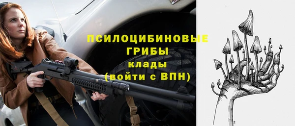 ешки Чердынь