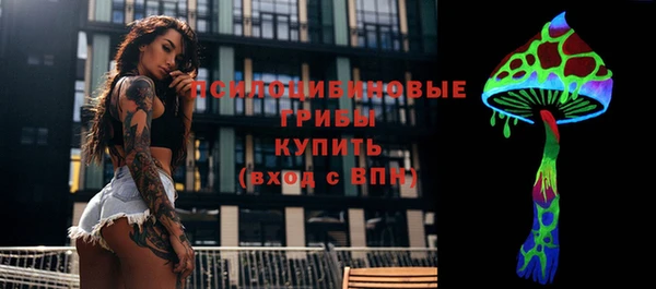 шишки Нея