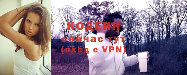 шишки Нея