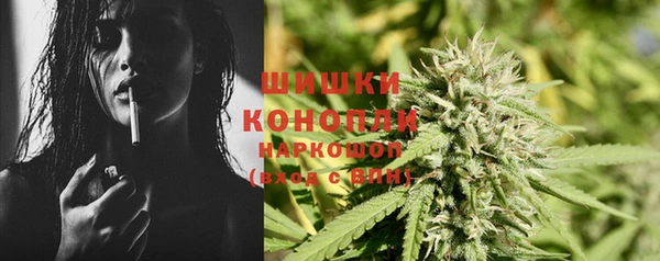 гашик Нефтекумск