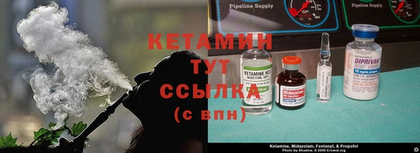 гашик Сясьстрой
