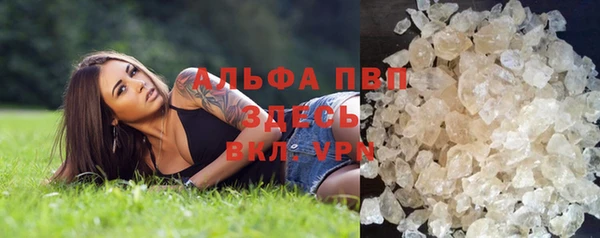 шишки Нея