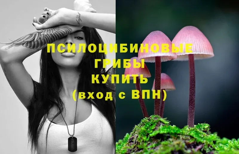 omg как войти  Отрадное  Псилоцибиновые грибы прущие грибы 