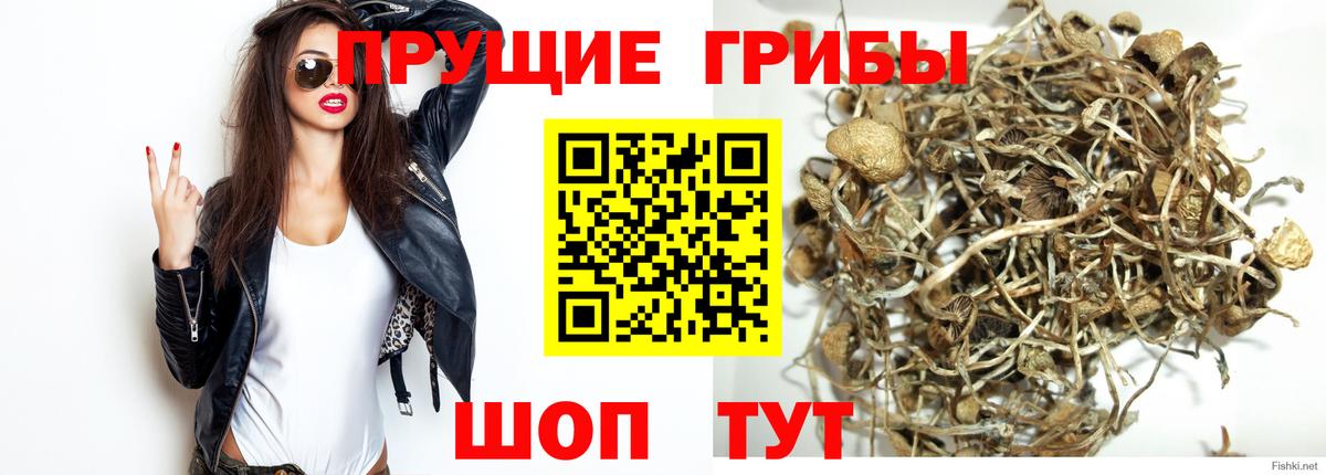 Галлюциногенные грибы ЛСД  где найти   Отрадное  Вход с VPN 